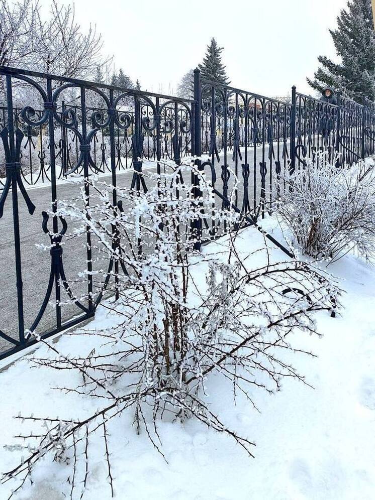 Морозное воскресенье ждет нижегородцев 16 февраля