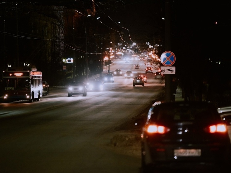 Волки в Томской области стали чаще появляться возле людей