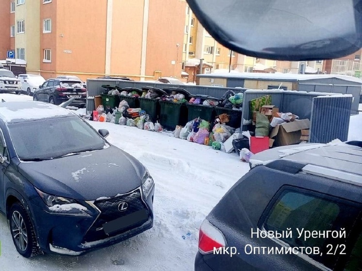 Среди новоуренгойских автомобилистов выбирают «Царя мусорной горы»