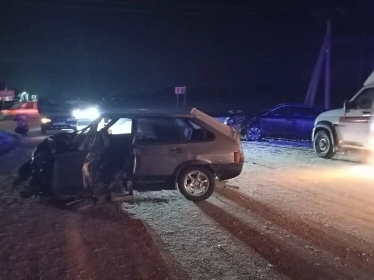 Водитель ВАЗа погиб на трассе в Новосибирской области