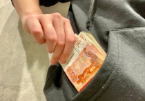 В Омской области в Любинском районе зарегистрирован случай мошенничества, в котором пострадала 66-летняя учительница