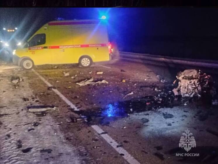 МЧС деблокировали пострадавшего в ДТП в ЕАО