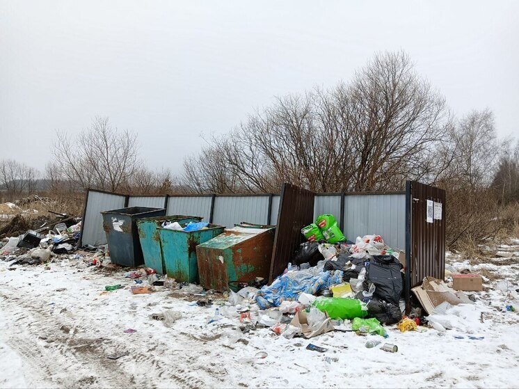 Жители Клепиковского района пожаловались на некачественный вывоз мусора