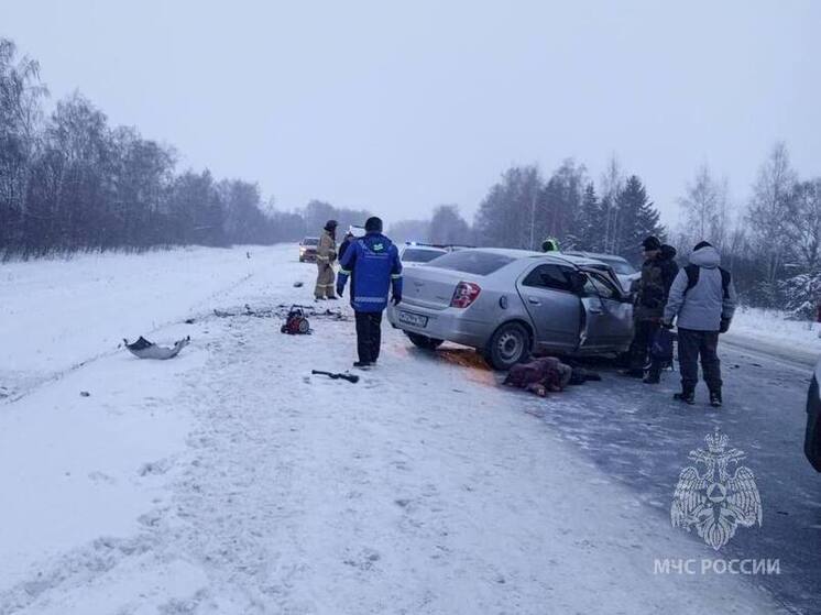 Три человека погибли в аварии на нижегородской трассе