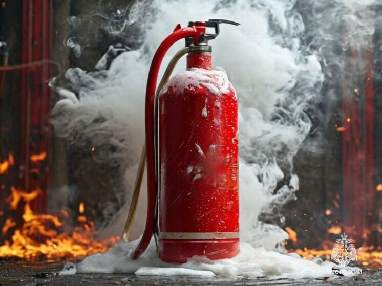 Псковичам напомнили о необходимости огнетушителя
