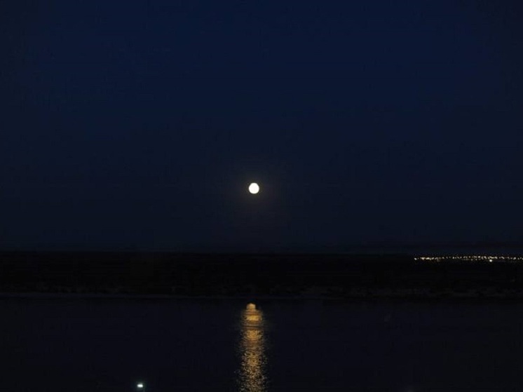 Волгоградцы увидят в небе космический «поезд Илона Маска»