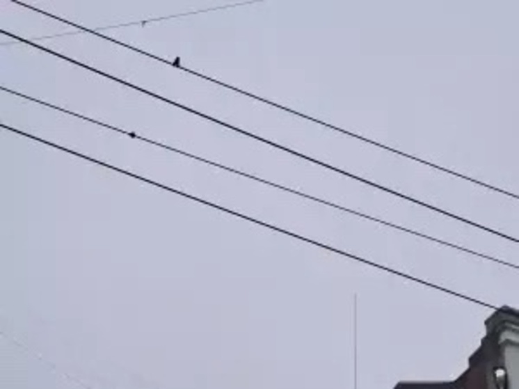  По Ростовской области объявили беспилотную опасность 16 февраля