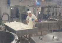 Представители Джидинского района посетили знаменитую Истринскую сыроварню и ферму российского фермера Олега Сироты для изучения лучших практик в агротуризме