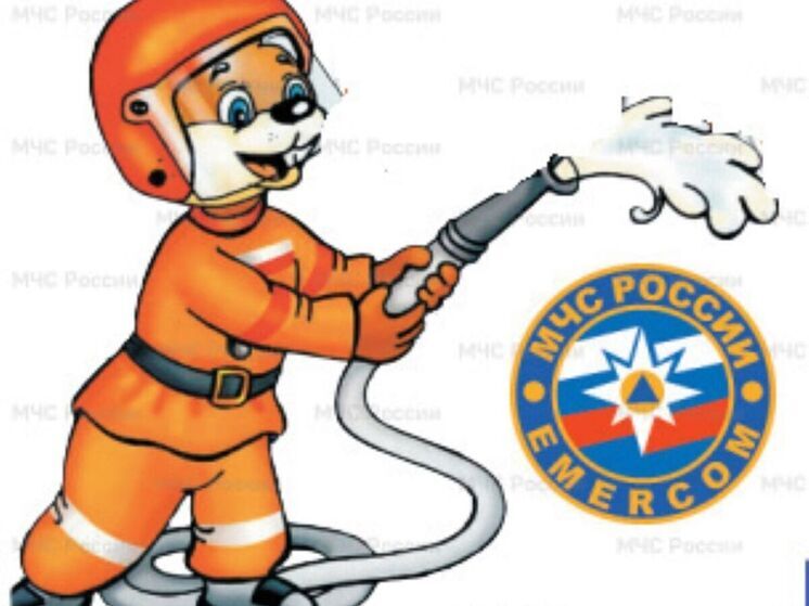 В Калужской области выбрали имя спасателю-бурундуку