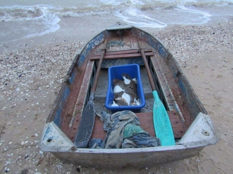 Жители Приазовского района задержаны за незаконный вылов рыбы в Азовском море