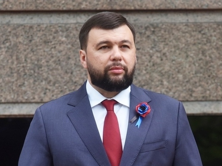 Пушилин: ВС РФ выбили ВСУ с территории ландшафтного парка у Константиновки