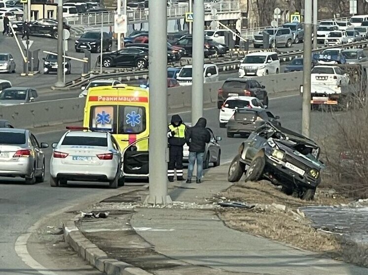 Во Владивостоке водитель перевернулся, пытаясь избежать наезда на собаку: животное ищет донора крови
