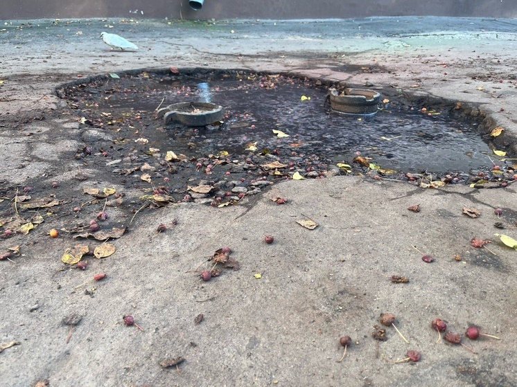 В воссоединённых регионах «Автодор» отремонтирует свыше 700 км дорог