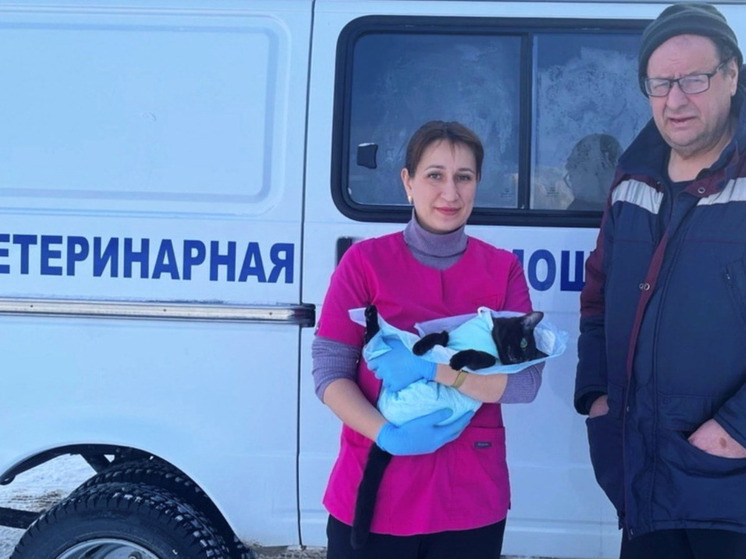 Мобильные ветеринары продолжают работать в отдаленных поселениях Югры