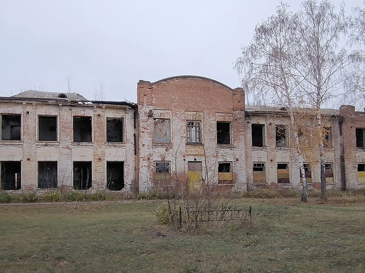 Народный фронт Воронежа привлек внимание властей к заброшенному объекту культурного наследия