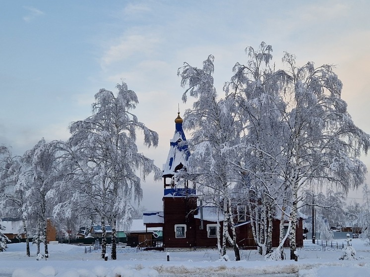 В ночь на 18 февраля в Рязанской области похолодает до -19 градусов