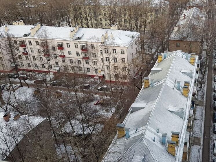 Подснежники продолжают цвести в феврале в Подмосковье