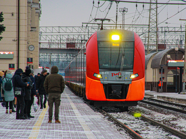 В Тульской области подорожала цена проезда в пригородных электричках
