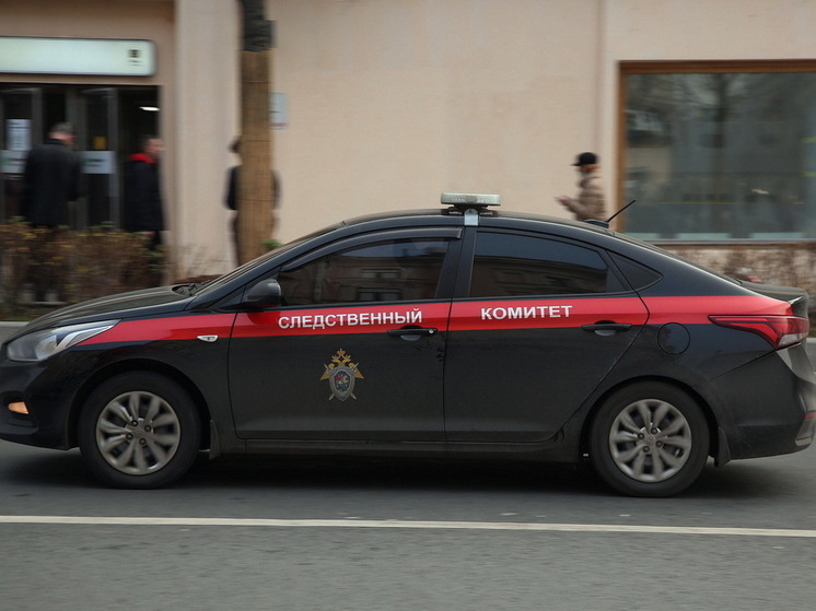 В Петербурге на 17 лет осудили изнасиловавшего сожительницу тростью мужчину