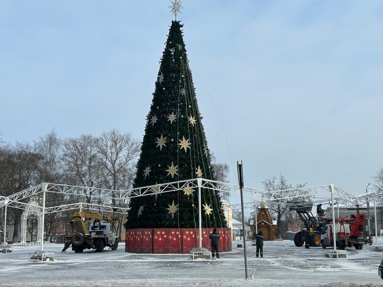 Главную елку с площади Революции в Вологде убирают