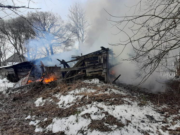 В Окуловке 17 февраля загорелся жилой частный дом