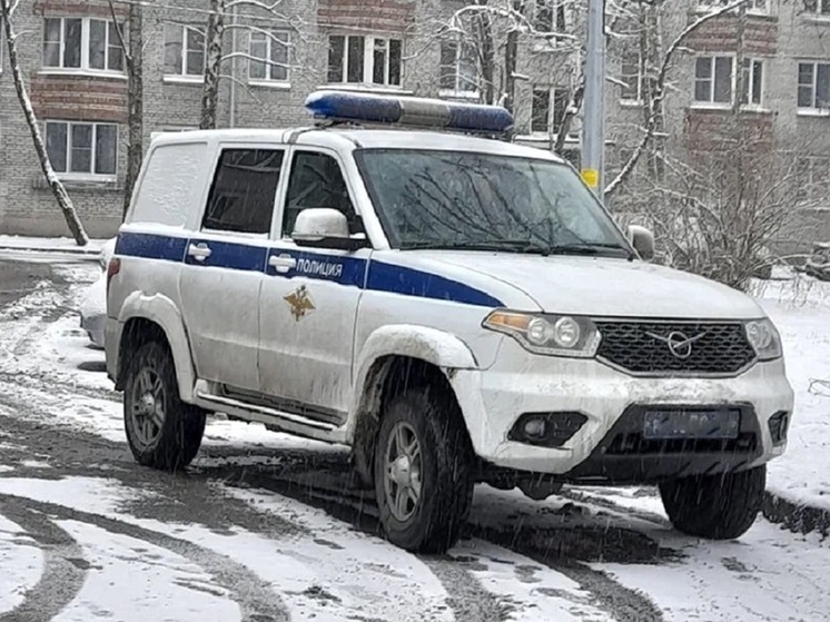 Абаканца объявили в федеральный розыск за игнорирование суда в Ярославской области