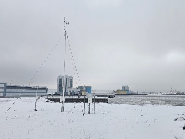 В Северной столице у КЗС заметили ластоногого