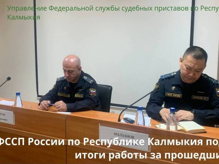 Приставы Калмыкии за год взыскали более миллиарда рублей