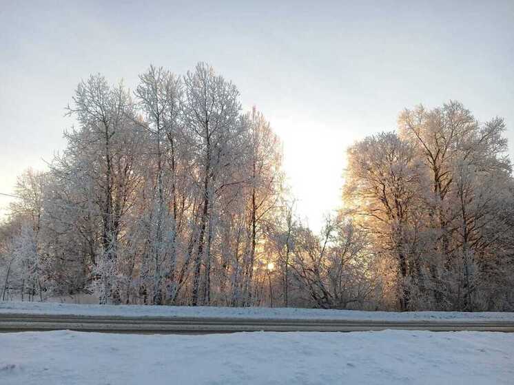 В Ленобласти потеплеет до −4 градусов 18 февраля