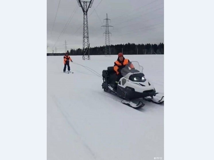 Пермские спасатели провели тренировки на снегоходах