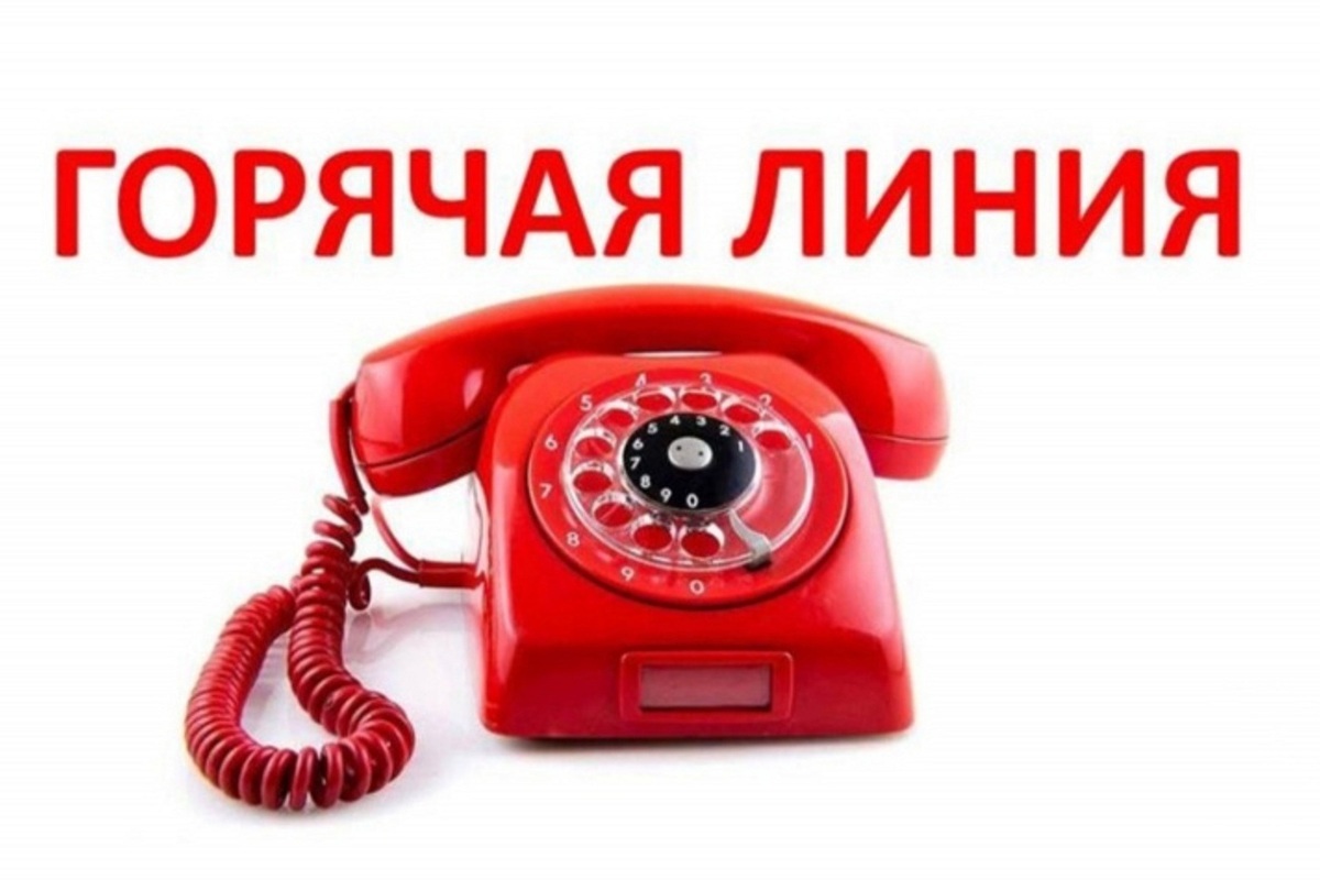 Горячую линию в НАО касательно сведений из ЕГРН проведет Роскадастр