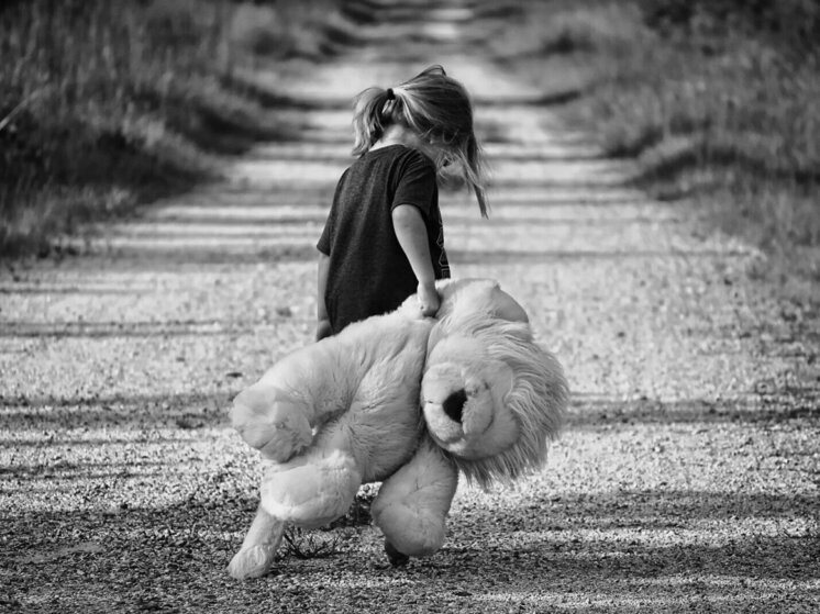Воронежскому педофилу дали срок за изнасилование 8-летней девочки