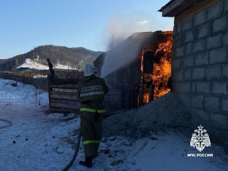 Придется колоть заново: в одном из сел Алтая загорелся дровяник