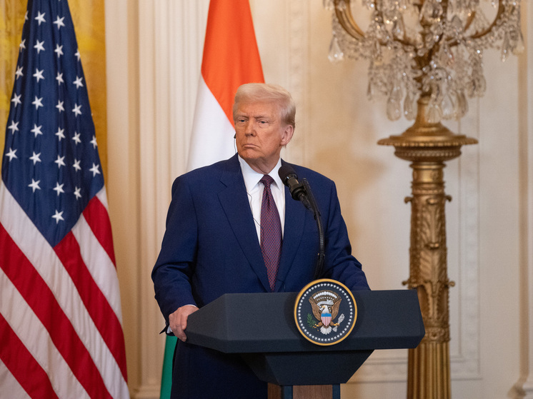 Трамп заявил, что США нанесли авиаудар по главарю «Аль-Каиды»