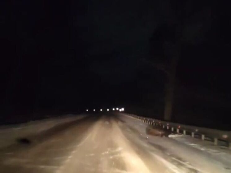 Лося сбили накануне в Дмитровском округе