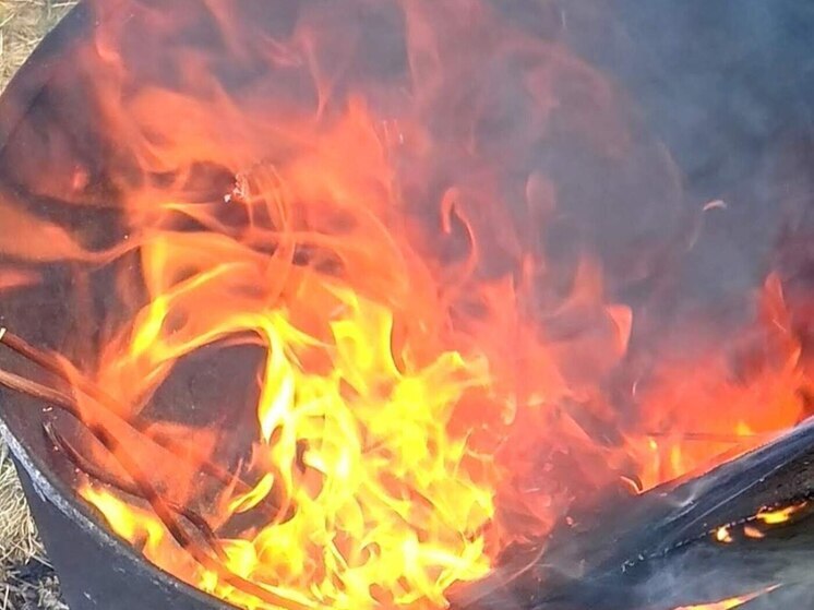 За сутки в Пензенской области произошло два пожара и два ДТП, в ликвидации последствий участвовали сотрудники МЧС