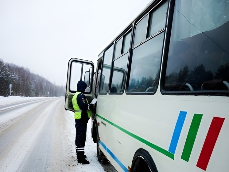 Госавтоинспекторы Хакасии проверили около 500 автобусов во время рейдов