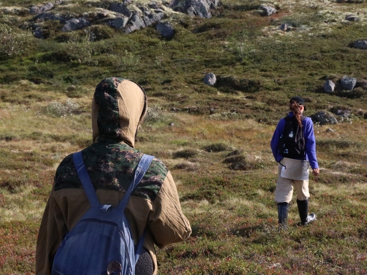 Поисковые отряды Марий Эл за 30 лет нашли останки более 2000 солдат ВОВ