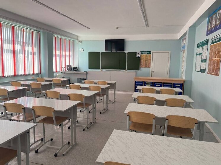 В школах Биробиджана продолжают отменять занятия из-за болезни