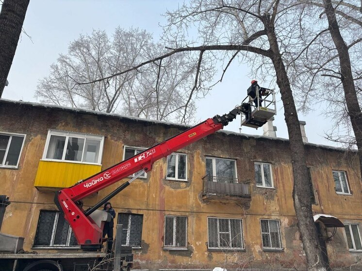 В Новокузнецке уберут около 900 аварийных деревьев в 2025 году