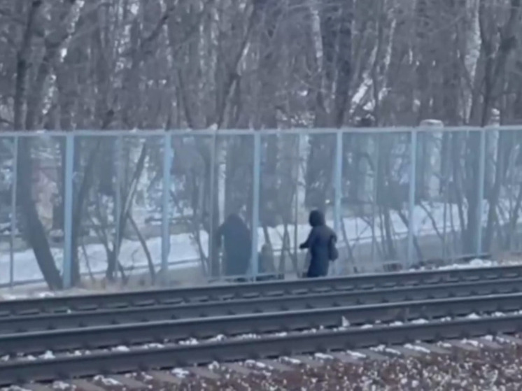 В Люберцах заметили семью с малышом, пересекавшую ж/д пути в запрещенном месте