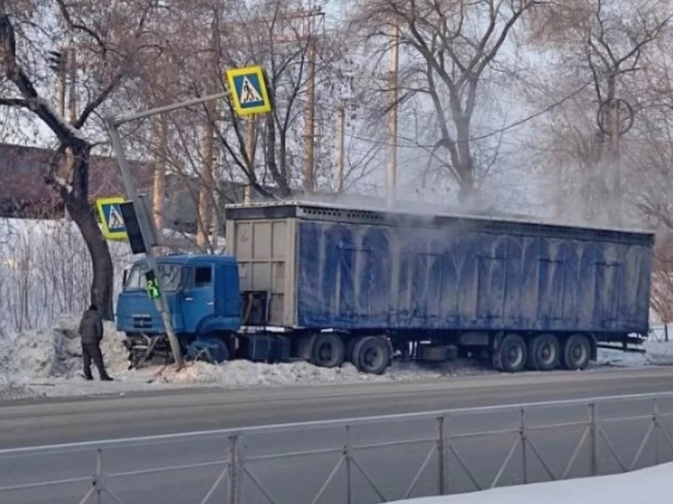 В Новосибирске грузовик при перевозке кур врезался в светофор