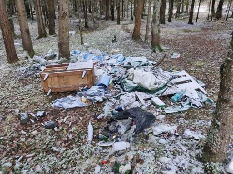 В лесах Подмосковья выявили 36 нарушений за первые недели февраля