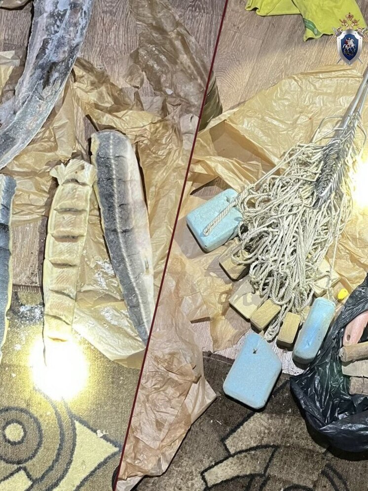 В Астрахани будут судить женщин, незаконно торговавших краснокнижным осетром