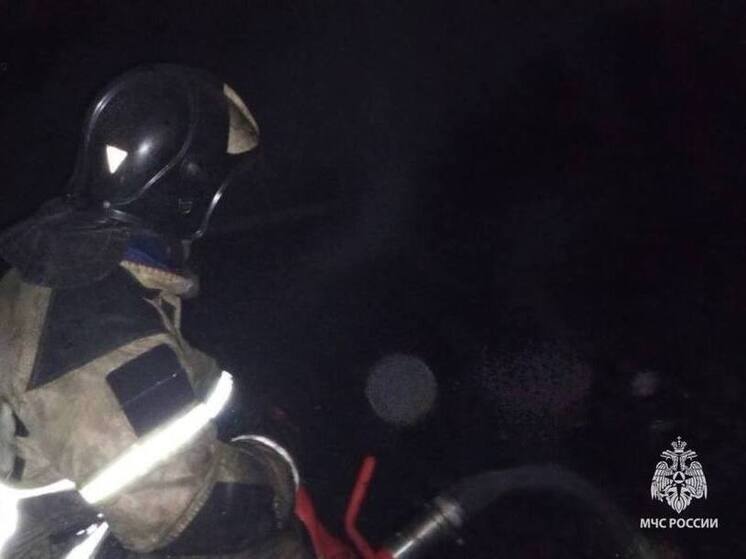 Жилой дом в поселке Крестцы серьезно пострадал при пожаре