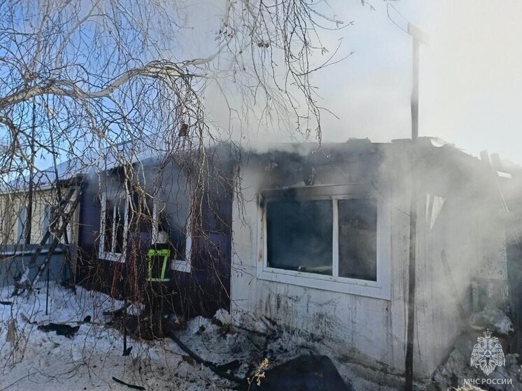 На пожаре в алтайском поселке погиб мужчина