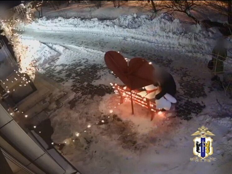 В Хабаровске уклонист от военной службы похитил плюшевого медведя из фотозоны