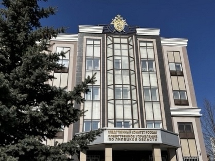 Липчанка получила маткапитал на вымышленного ребенка