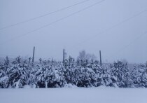 По прогнозам Мурманского УГМС, ночью 19 февраля на севере Мурманской области ожидается сильный снег, в течение суток – сильный ветер и метель.