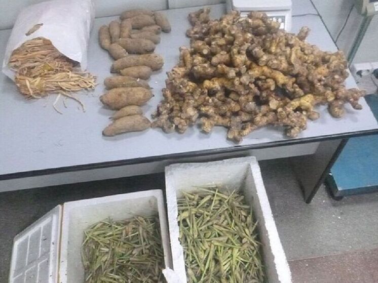 Иркутские таможенники нашли у пассажира 37 килограммов продуктов для вьетнамских блюд